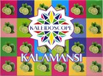Кальянная смесь KALEIDOSCOPE Каламанси 50 гр